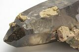 Tessin Habit Smoky Quartz Crystal with Feldspar - Nigeria #207994-2
